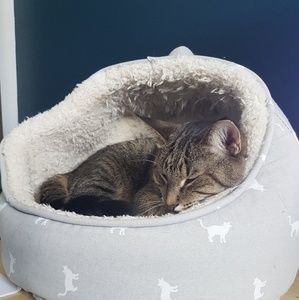 Meet your Posher, Taylor